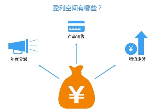 魚(yú)袋營(yíng)銷軟件 店鋪裝修與產(chǎn)品圖片的網(wǎng)絡(luò)技術(shù)服務(wù)
